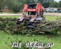 Cleaning up after a tree removal