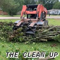 Cleaning up after a tree removal