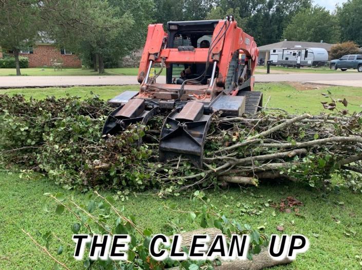 Cleaning up after a tree removal